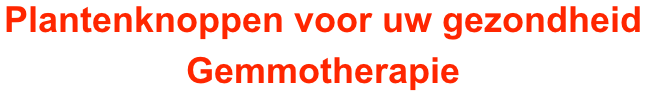 Plantenknoppen voor uw gezondheid Gemmotherapie